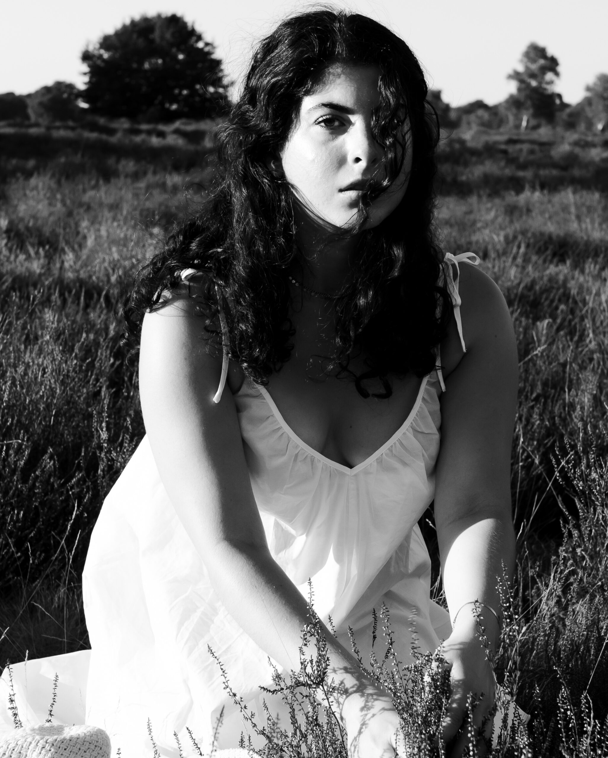 Lavinia A - Afbeelding 6